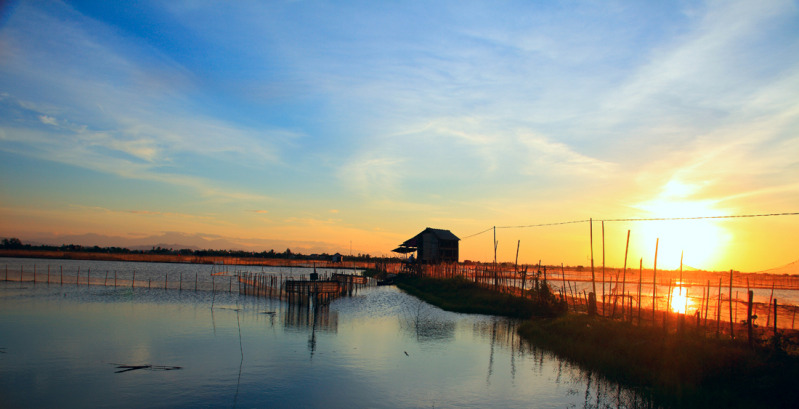 Click here to open new window