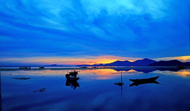 Click here to open new window