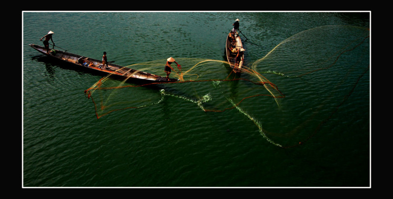 Click here to open new window