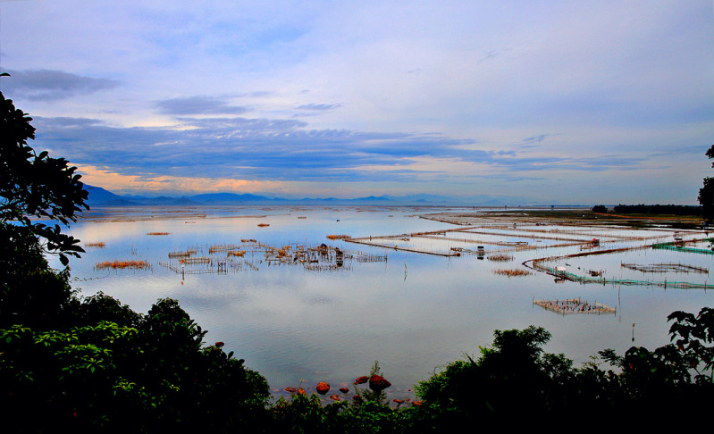 Click here to open new window